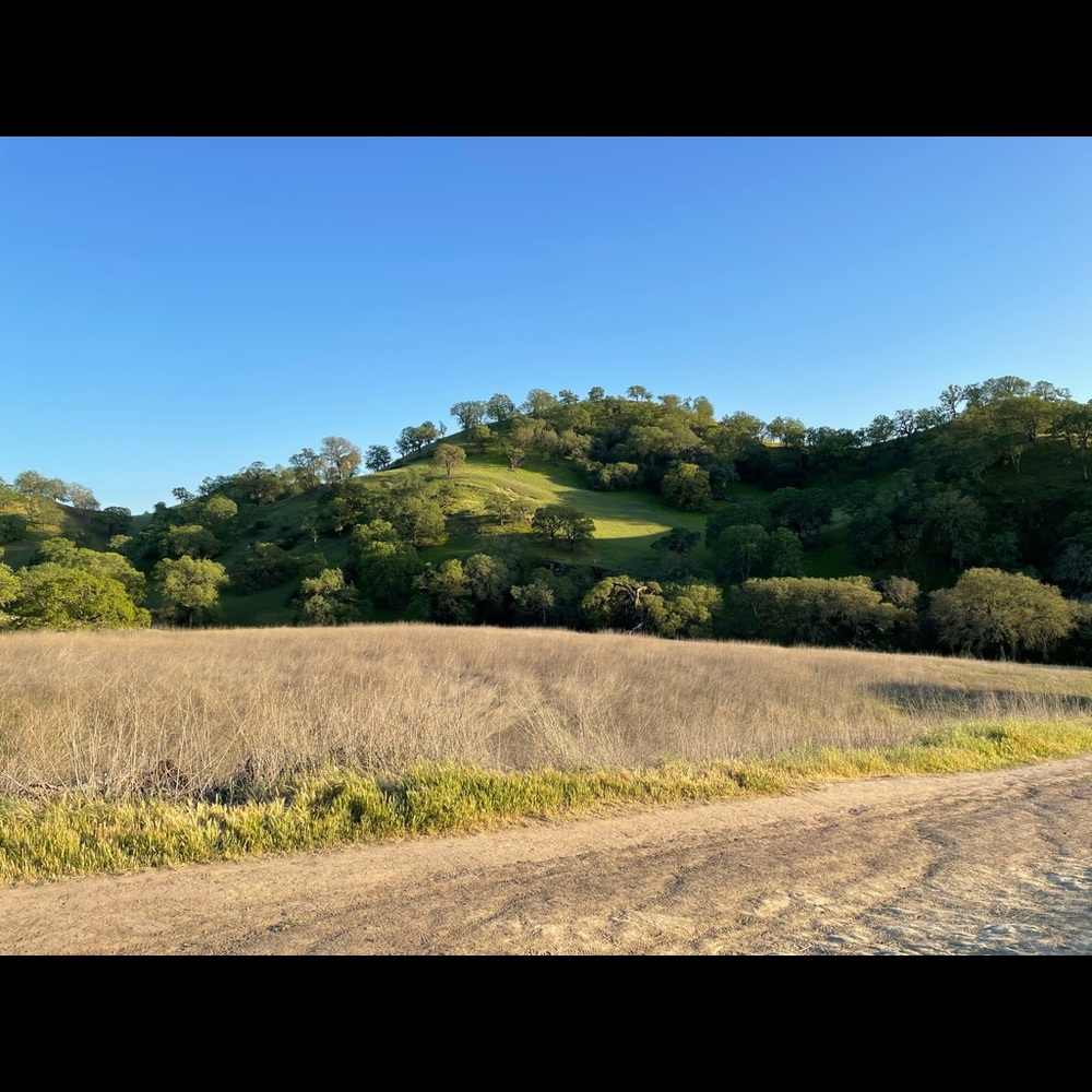 Meet your Posher, Hunza